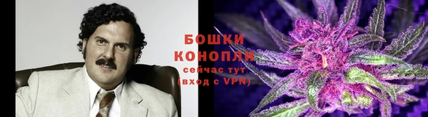 mdpv Алексин