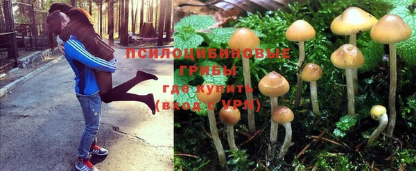 mdpv Алексин