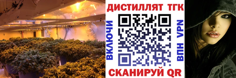 Дистиллят ТГК Wax  где найти   Заволжск 